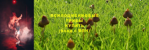 эйфоретик Алексеевка