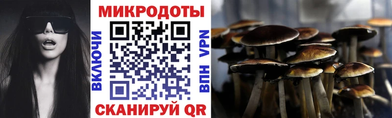 Псилоцибиновые грибы Magic Shrooms гидра маркетплейс Луза
